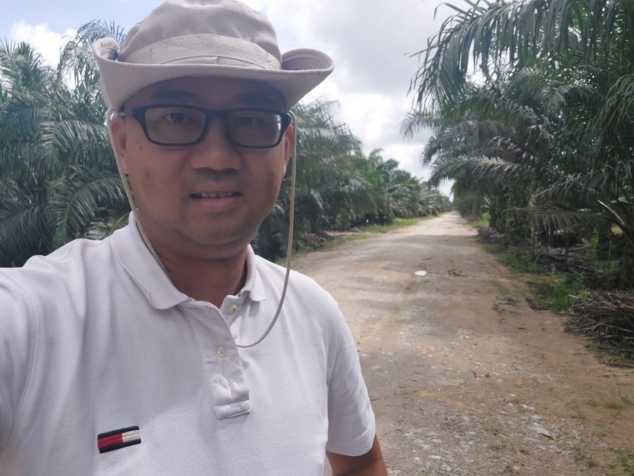 Palm Oil Trees Farm Management 4